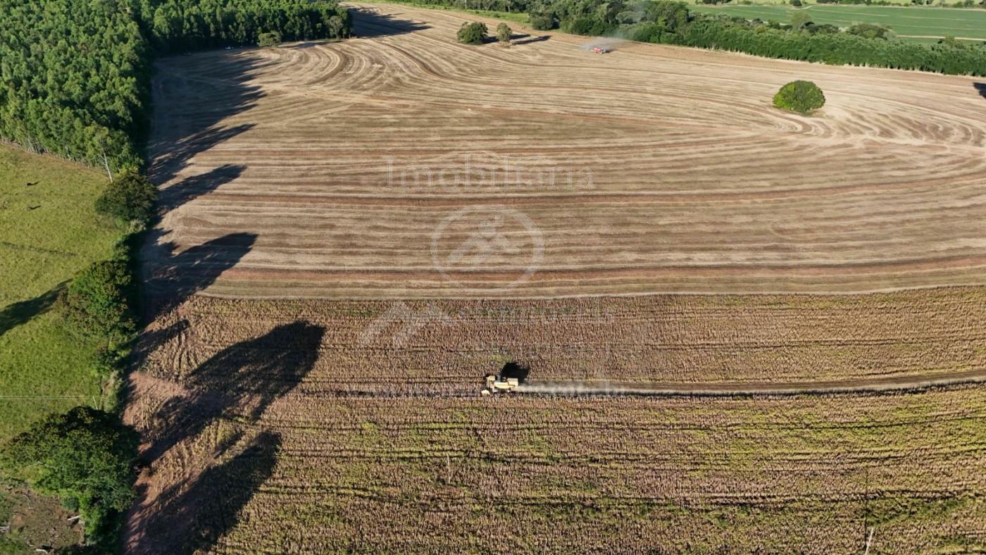 Fazenda, 57 m² - Foto 4